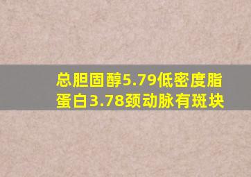 总胆固醇5.79低密度脂蛋白3.78颈动脉有斑块