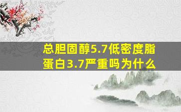 总胆固醇5.7低密度脂蛋白3.7严重吗为什么