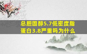 总胆固醇5.7低密度脂蛋白3.8严重吗为什么