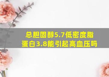 总胆固醇5.7低密度脂蛋白3.8能引起高血压吗