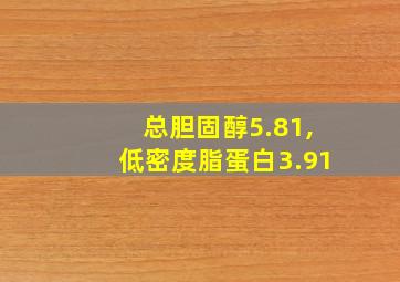 总胆固醇5.81,低密度脂蛋白3.91