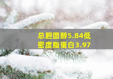 总胆固醇5.84低密度脂蛋白3.97