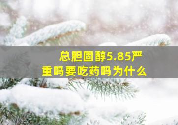 总胆固醇5.85严重吗要吃药吗为什么