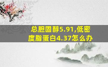 总胆固醇5.91,低密度脂蛋白4.37怎么办