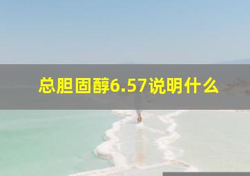 总胆固醇6.57说明什么