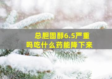 总胆固醇6.5严重吗吃什么药能降下来