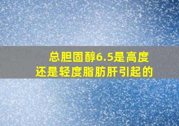 总胆固醇6.5是高度还是轻度脂肪肝引起的