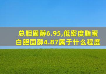 总胆固醇6.95,低密度脂蛋白胆固醇4.87属于什么程度