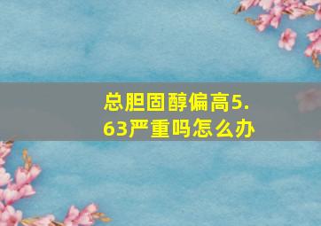 总胆固醇偏高5.63严重吗怎么办