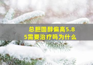 总胆固醇偏高5.85需要治疗吗为什么