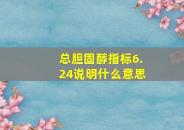 总胆固醇指标6.24说明什么意思