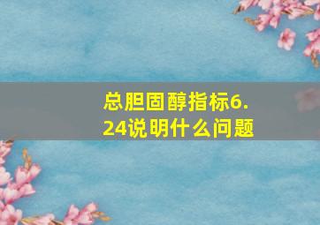 总胆固醇指标6.24说明什么问题