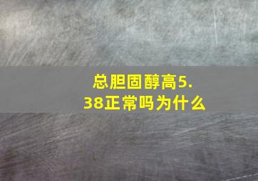 总胆固醇高5.38正常吗为什么