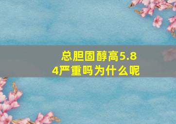 总胆固醇高5.84严重吗为什么呢