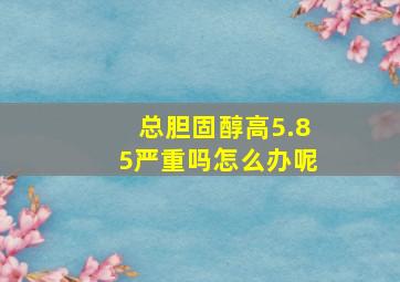 总胆固醇高5.85严重吗怎么办呢