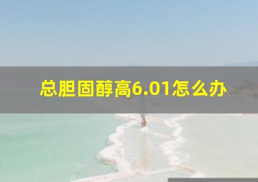 总胆固醇高6.01怎么办