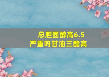 总胆固醇高6.5严重吗甘油三酯高