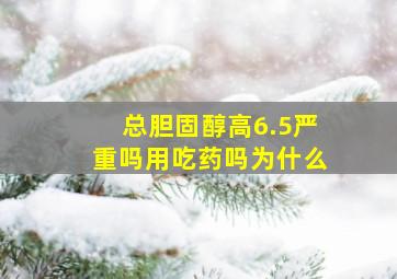 总胆固醇高6.5严重吗用吃药吗为什么