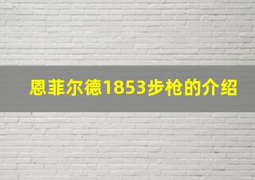 恩菲尔德1853步枪的介绍