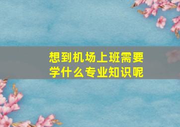 想到机场上班需要学什么专业知识呢