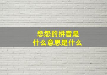 愁怨的拼音是什么意思是什么