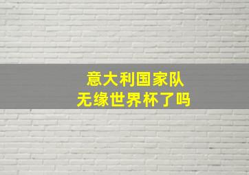 意大利国家队无缘世界杯了吗