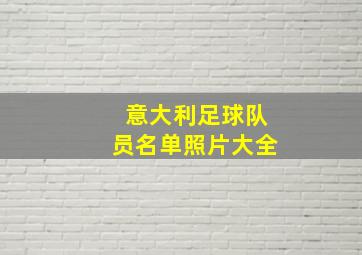 意大利足球队员名单照片大全