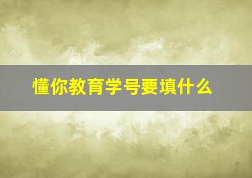 懂你教育学号要填什么