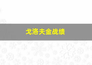 戈洛夫金战绩