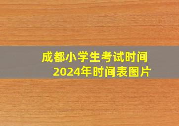 成都小学生考试时间2024年时间表图片