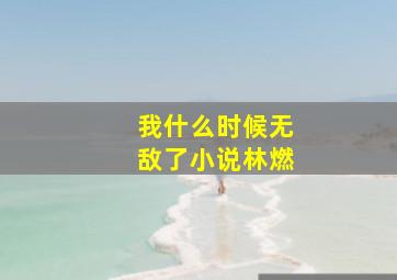 我什么时候无敌了小说林燃