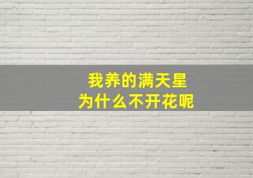 我养的满天星为什么不开花呢