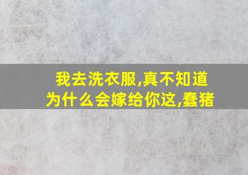 我去洗衣服,真不知道为什么会嫁给你这,蠢猪