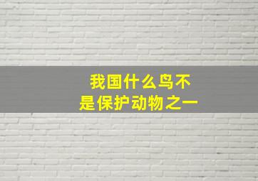 我国什么鸟不是保护动物之一