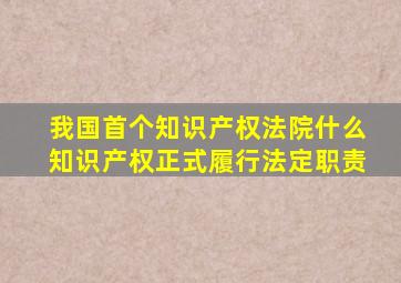 我国首个知识产权法院什么知识产权正式履行法定职责