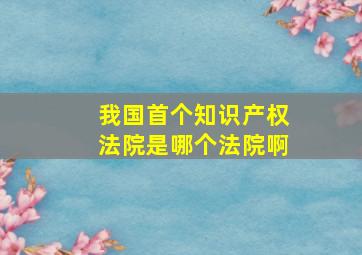 我国首个知识产权法院是哪个法院啊