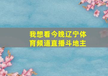 我想看今晚辽宁体育频道直播斗地主