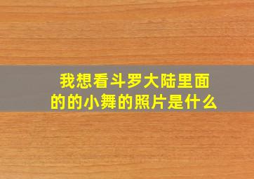 我想看斗罗大陆里面的的小舞的照片是什么