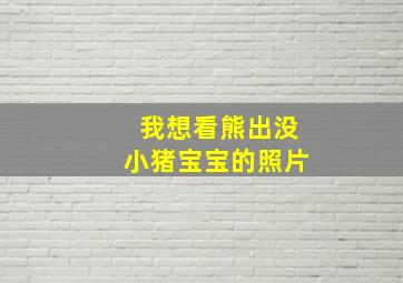 我想看熊出没小猪宝宝的照片