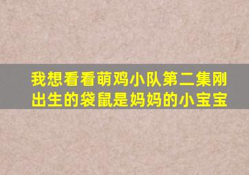 我想看看萌鸡小队第二集刚出生的袋鼠是妈妈的小宝宝