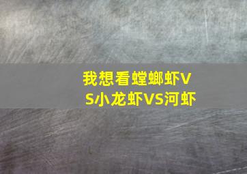 我想看螳螂虾VS小龙虾VS河虾