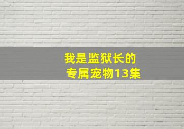 我是监狱长的专属宠物13集