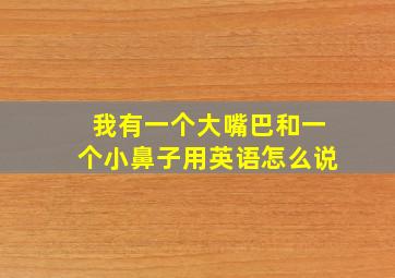 我有一个大嘴巴和一个小鼻子用英语怎么说