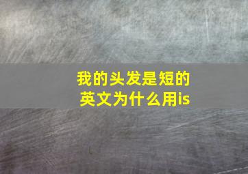 我的头发是短的英文为什么用is