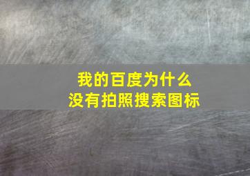 我的百度为什么没有拍照搜索图标