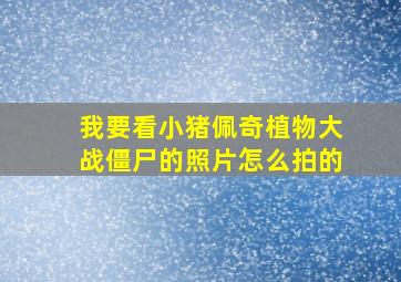 我要看小猪佩奇植物大战僵尸的照片怎么拍的