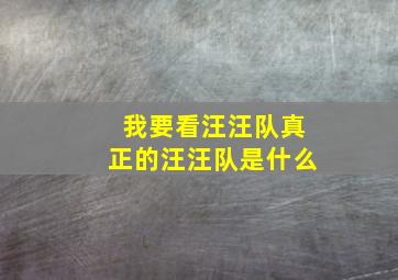 我要看汪汪队真正的汪汪队是什么