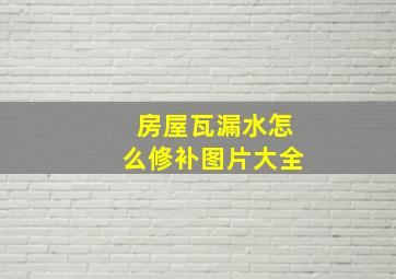 房屋瓦漏水怎么修补图片大全