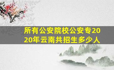 所有公安院校公安专2020年云南共招生多少人