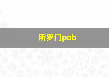 所罗门pob